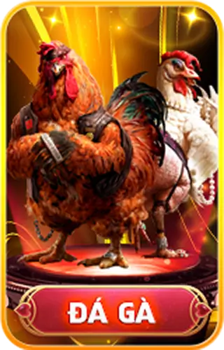 Đá gà